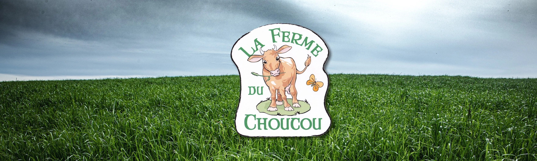 Bienvenue a la Ferme du Choucou elevage de bovin race limousine Monferran Saves dans le Gers famille Touron