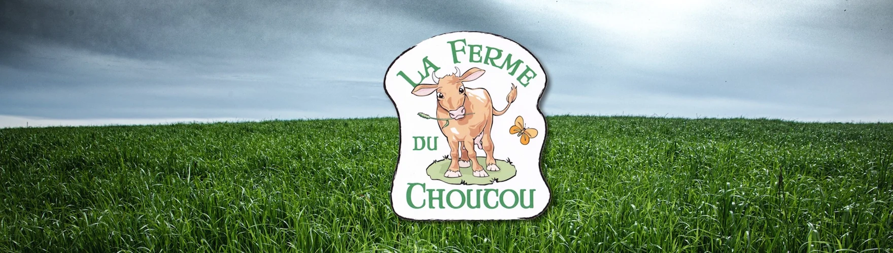 Ferme du Choucou élevage de bovin race limousine
