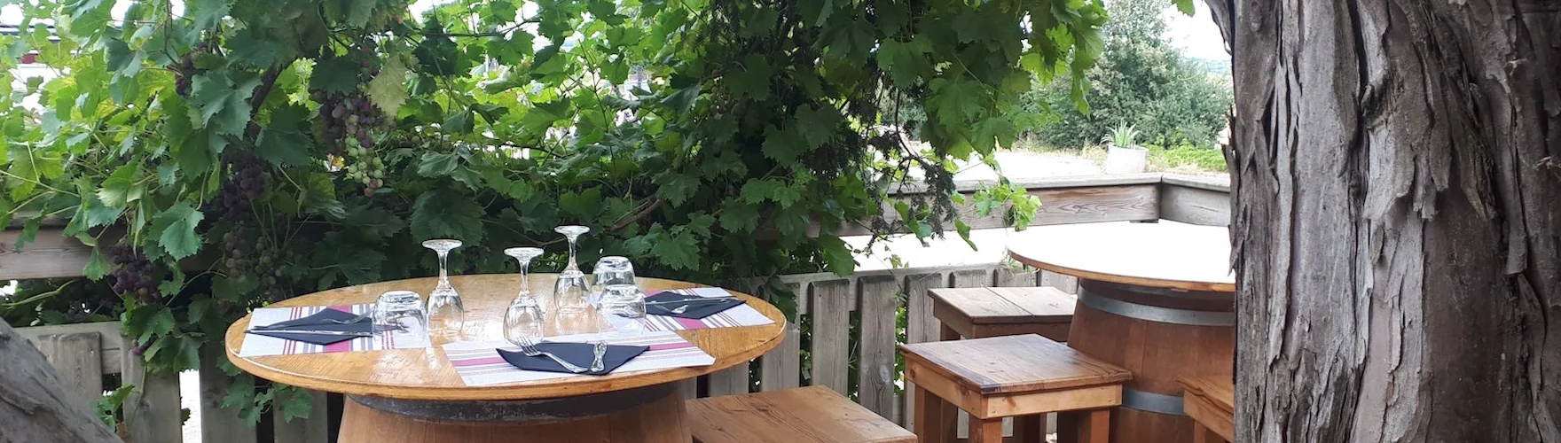 repas campagnard à la Ferme du Choucou en terrasse ombragée