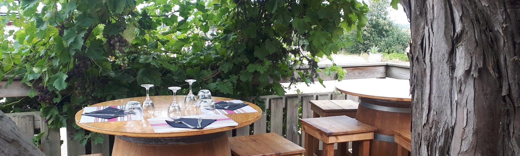 repas campagnard à la Ferme du Choucou en terrasse ombragée